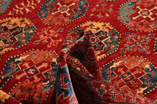 Arijana Ziegler Farahan - 8