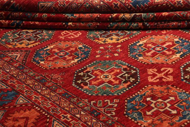 Arijana Ziegler Farahan - 9