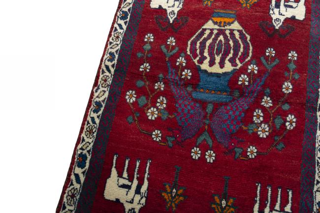 Shiraz - 4