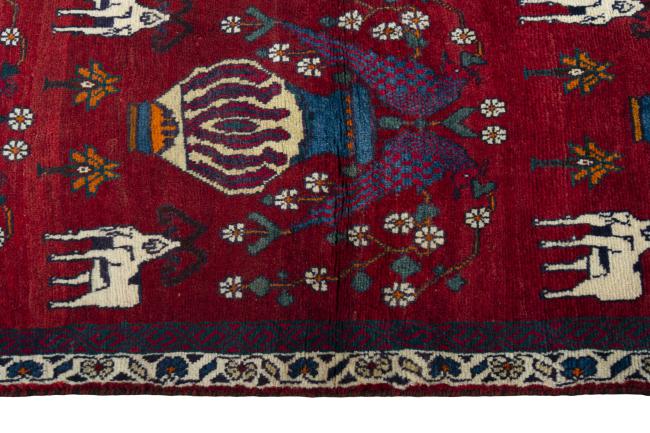 Shiraz - 6