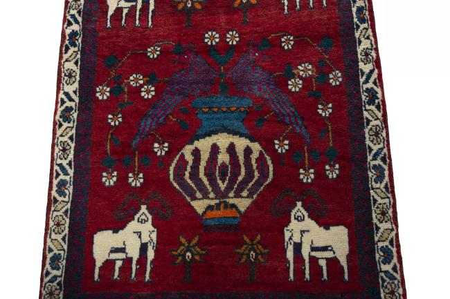 Shiraz - 7