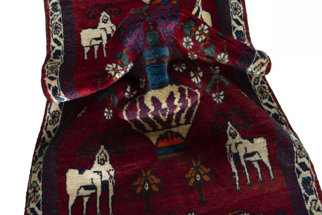 Shiraz - 9