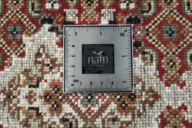 Indo Mir - 11