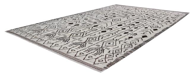 Berber Maroccan - 1
