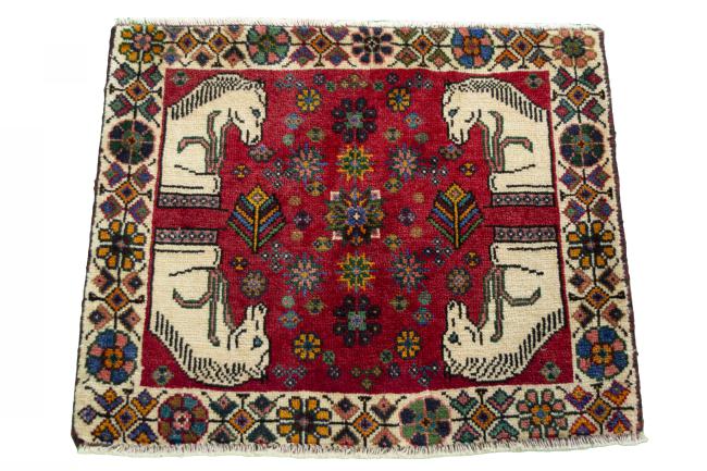 Shiraz - 3