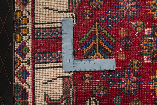Shiraz - 4