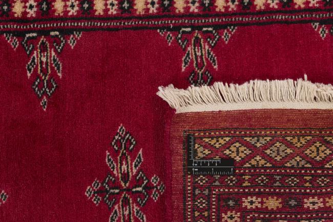 Pakistan Buchara 2ply - 1