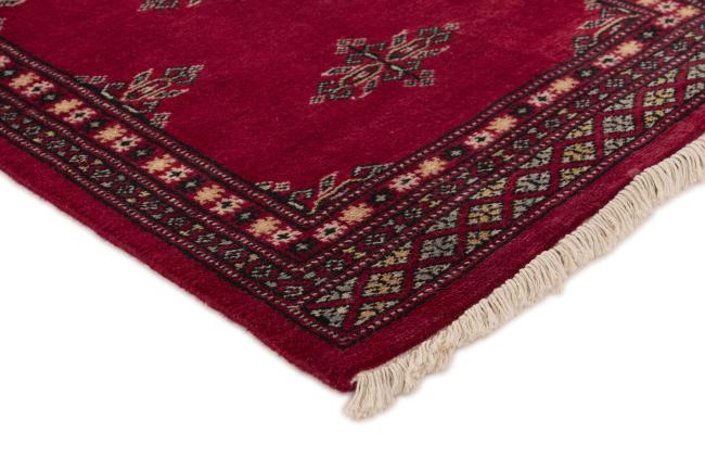 Pakistan Buchara 2ply - 3
