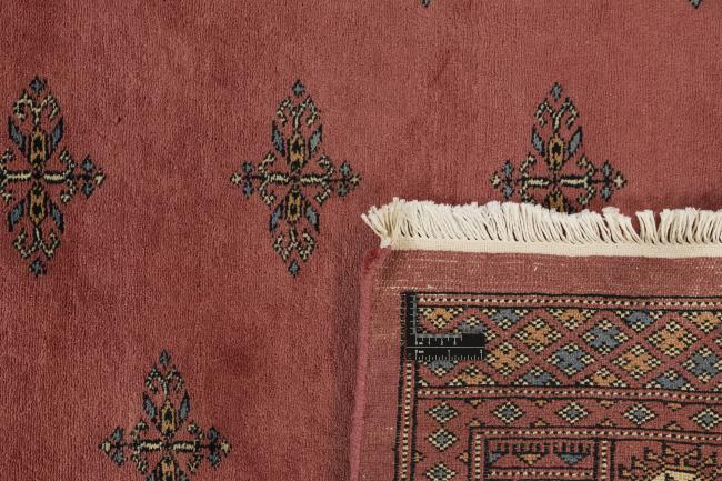 Pakistan Buchara 3ply - 1
