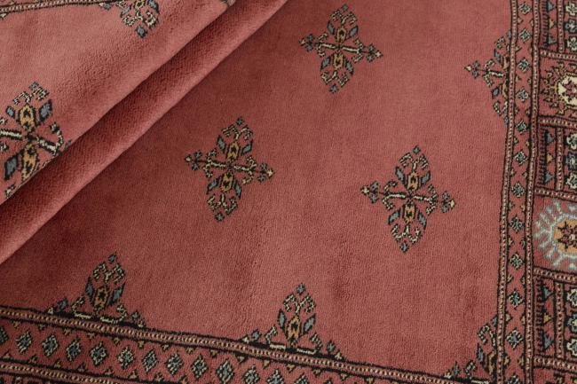 Pakistan Buchara 3ply - 2