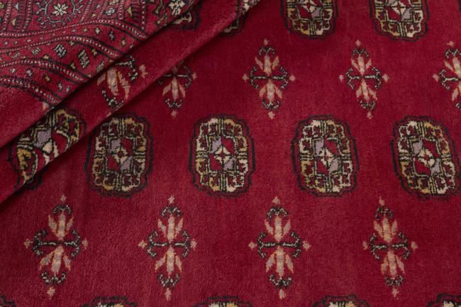Pakistański Buchara 3ply - 2