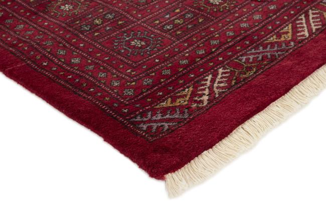 Pakistański Buchara 3ply - 3