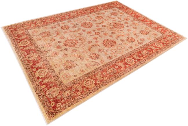 Ziegler Farahan - 2