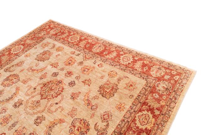 Ziegler Farahan - 3