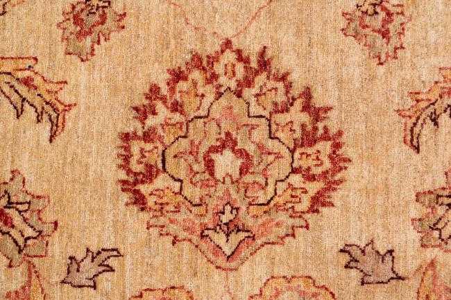 Ziegler Farahan - 8