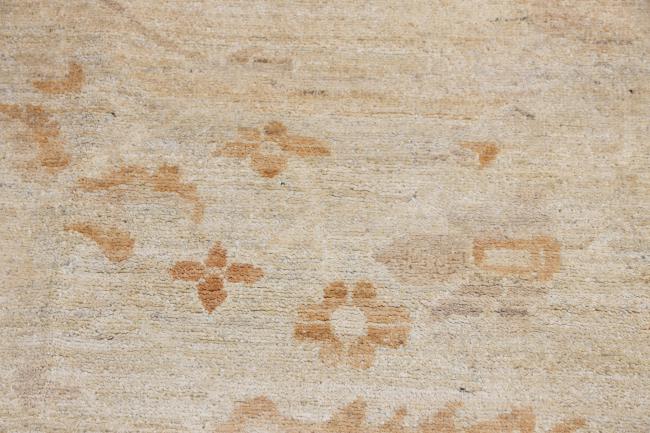 Ziegler Farahan - 11