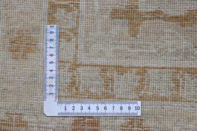 Ziegler Farahan - 12