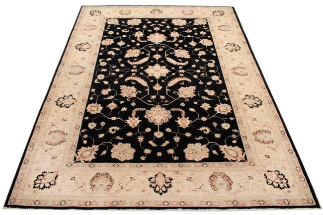 Ziegler Farahan - 3