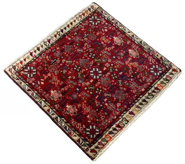 Shiraz - 2