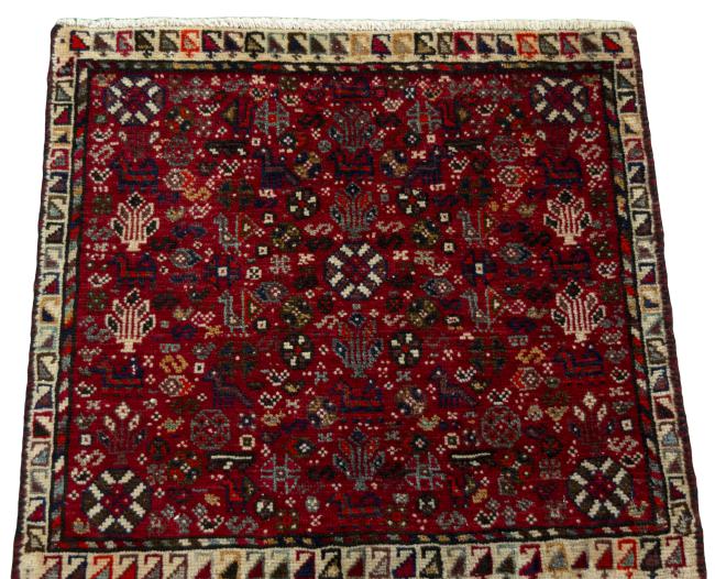 Shiraz - 3
