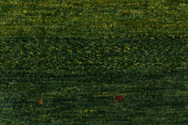 Persja Gabbeh Loribaft Atash - 6