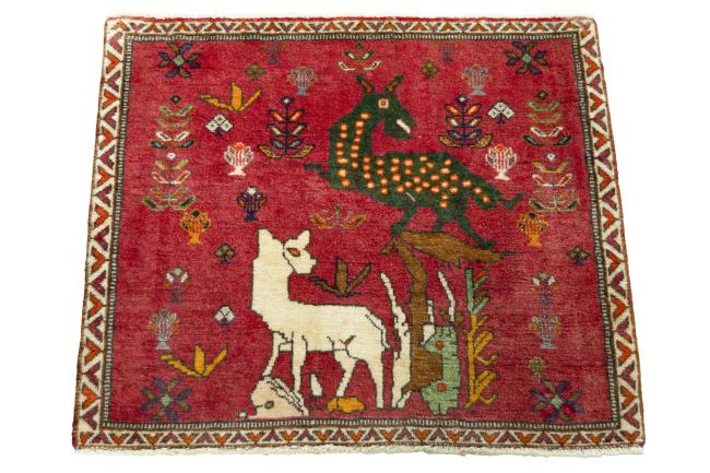 Shiraz - 3