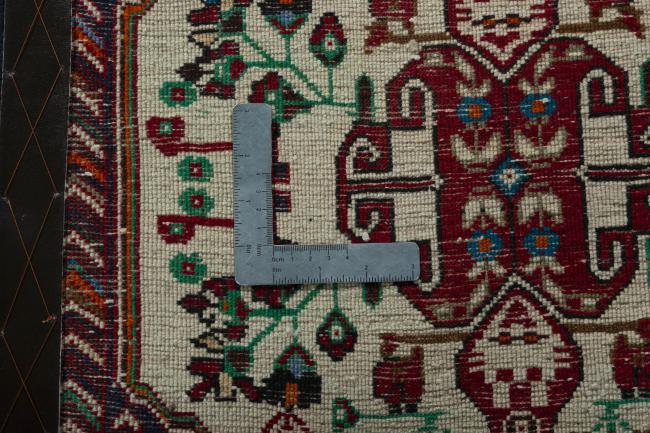 Shiraz - 4