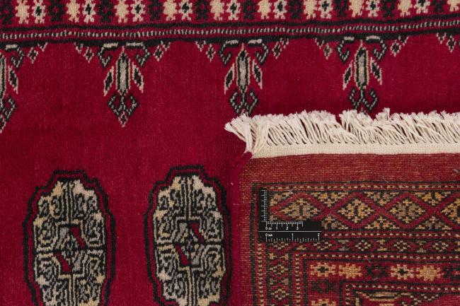 Pakistan Buchara 2ply - 1