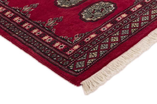 Pakistan Buchara 2ply - 3