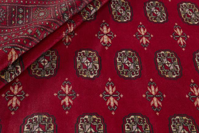 Pakistański Buchara 3ply - 2