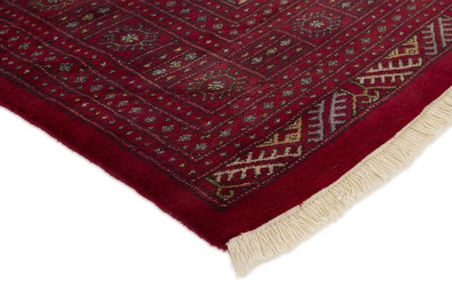 Pakistański Buchara 3ply - 3