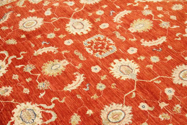 Ziegler Farahan - 5