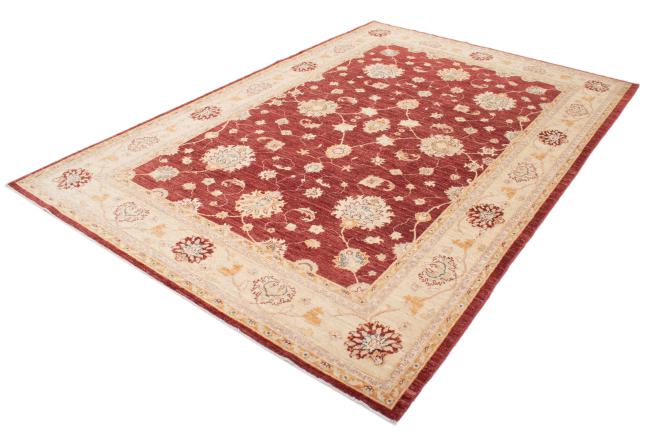 Ziegler Farahan - 2
