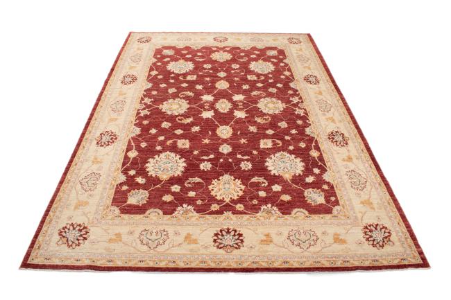 Ziegler Farahan - 3