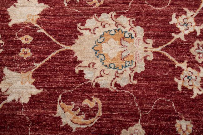 Ziegler Farahan - 4
