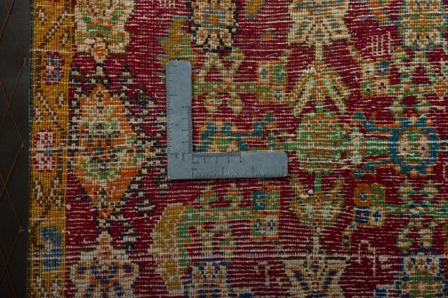 Shiraz - 4
