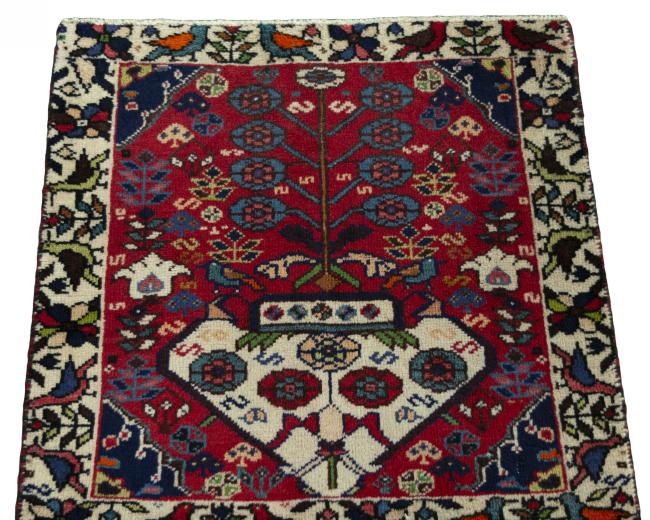 Shiraz - 3