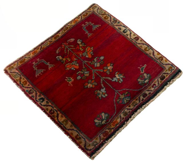 Shiraz - 2