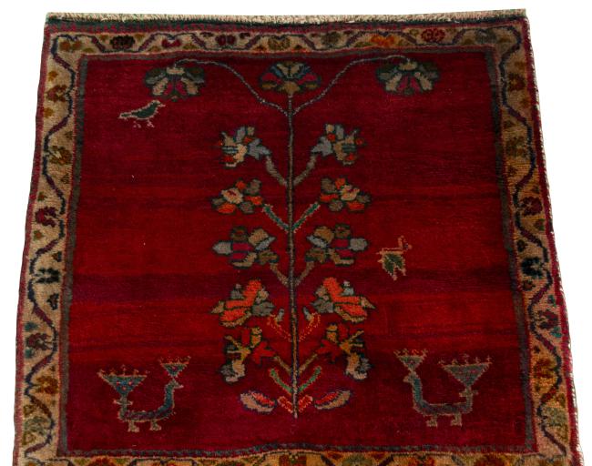 Shiraz - 3
