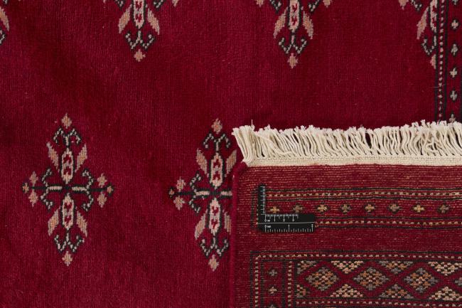 Pakistan Buchara 2ply - 1