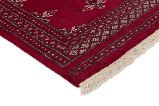 Pakistan Buchara 2ply - 3