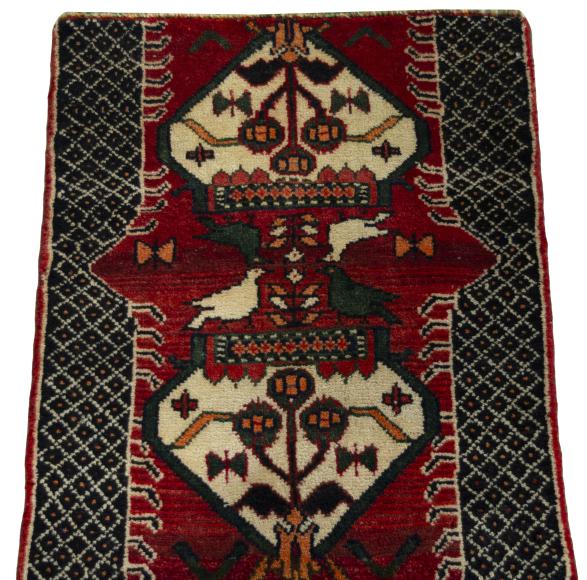 Shiraz - 3