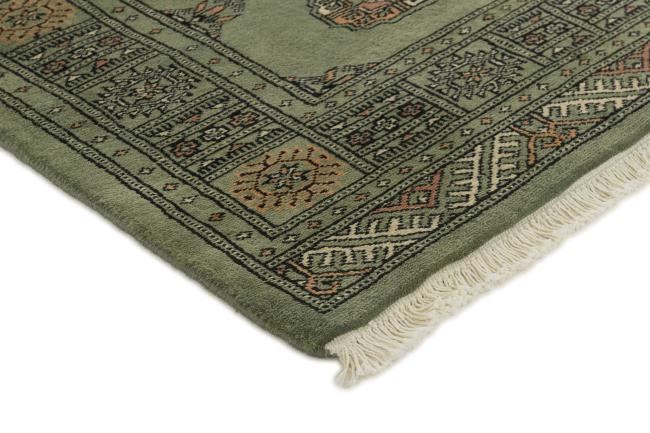Pakistan Buchara 3ply - 3
