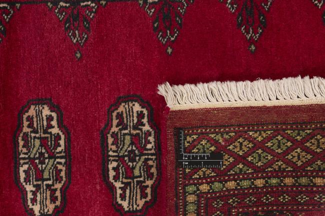 Pakistan Buchara 2ply - 1