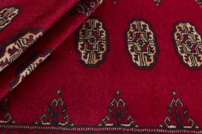 Pakistan Buchara 2ply - 2