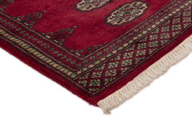 Pakistan Buchara 2ply - 3