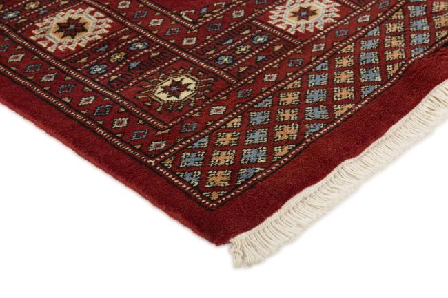 Pakistan Buchara 3ply - 3