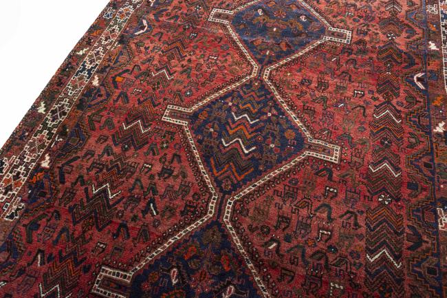 Shiraz - 4