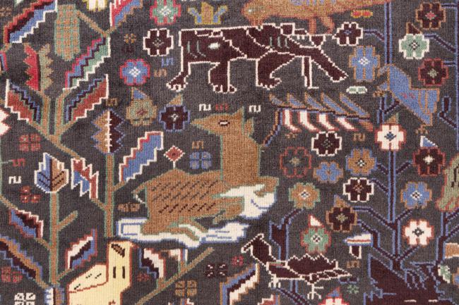 Baluch - 7