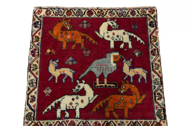 Shiraz - 3